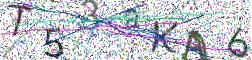 图形验证